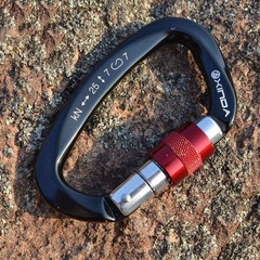 25KN Screw Locking D-Shape Carabiner, Heavy Duty Climbing Clip for Tree Rigging