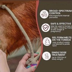 10 Pack New Paste Wormer Horse Dewormer Apple Flavor-Free Shipping EXP01/2028