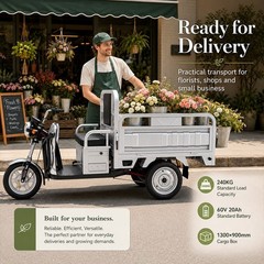 Electric Tricycle Cargo Truck 600W Free Shipping Electric Cargo Trike Orchard