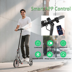 Ladped LP60 Electric Scooter Adult Folding 25KM/H EScooter 350W 8.5″ App Control