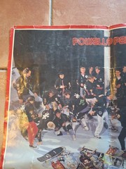 Vintage 1988 POWELL PERALTA BONES BRIGADE Team Skateboard Poster 2 SIDED Hawk