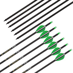 29 Inch Carbon Arrow Practice Hunting Arrows Spine 400 Removable Tips 12 Pcs