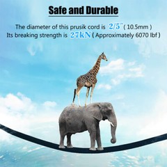 30KN Climbing Carabiner Locking Safety Prusik Climbing Rope Rappelling Rock Cord