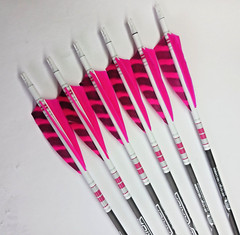 Goldtip warriors arrows for Traditional archery