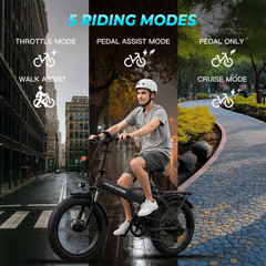 Windhorse W4A Black Folding Fat Tire Electric Bike 20in 983W 40-70Mi