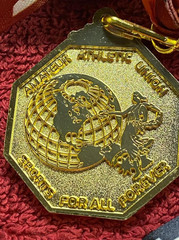 Amateur Athletic Union United States Medal Sport for All & Lanyard Gold Tone M06