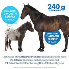 Equa Holistics HealthyGut™ Probiotics for Horses Maintenance 30 Days, Horse