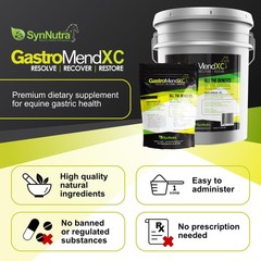 GastroMend XC Natural Horse Supplement 30 Day Supply for Gastric Health