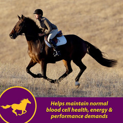 Horse Health Red Cell, Liquid Vitamin-Iron-Mineral Supplement for Horses, Helps