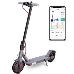LADPED LP80 ADULT ELECTRIC SCOOTER 350W Motor LONG RANGE 30KM 31KM/H E-Scooter