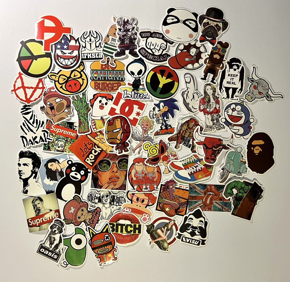 Lot 55 Random Vinyl Laptop Skateboard Stickers