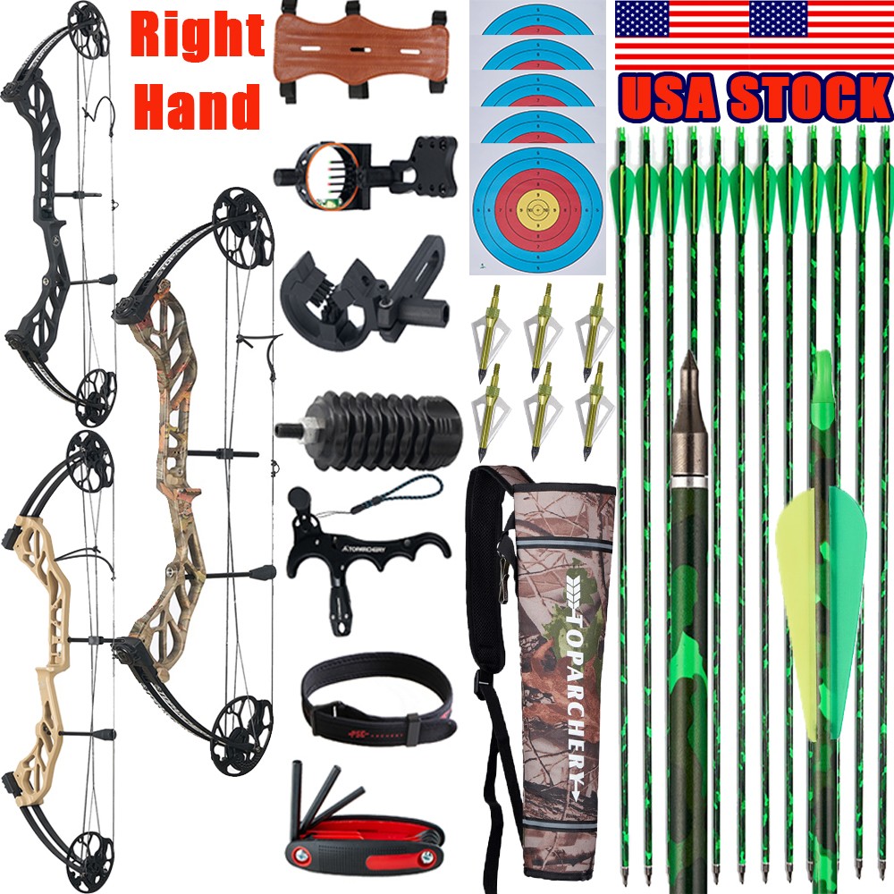 19-70lb Compound Bow Carbon Arrows Kit RH/LH Archery Target Hunting Shooting Bow