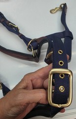 OVATION Luxor Cushion-Flex Halter w/ Adjustable Chin – Horse/Cob/Oversized Sizes