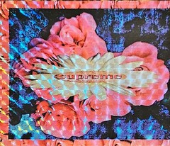 Supreme Holographic Bloom Flower Sticker FW17 + FREE SURPRISE