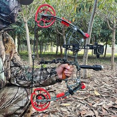 30-60lbs Compound Bow Kit Dual-use Short Axis Arrow Steel Ball Hunting RH LH