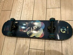 KRYPTONICS SKATEBOARD 31 INCHES COMPLETE PALM TREE