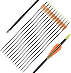 Archery Youth 24 26 28 Inch Fiberglass Archery Targeting Arrows for Youth Pra…