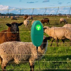 2 Pack Detects Electric Fence Energizer Pulse Flash Signal LED Light | Tester…