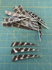 4″ Right Wing Shield Natural Barred Feather Fletching, 25Pk Archery 🇺🇸￼