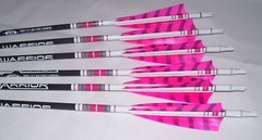 Goldtip warriors arrows for Traditional archery