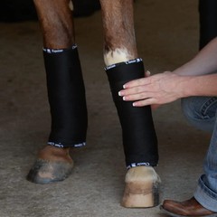 Classic Equine Standing Wrap Bandages – Injury Prevention & Support