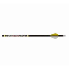 Carbon Archery Arrows for Hunting and Target Practice with Replaceable Tips
