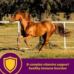 Farnam Red Cell Yucca Flavored Iron Mineral Rich Supplement For Horses 1 Gallon