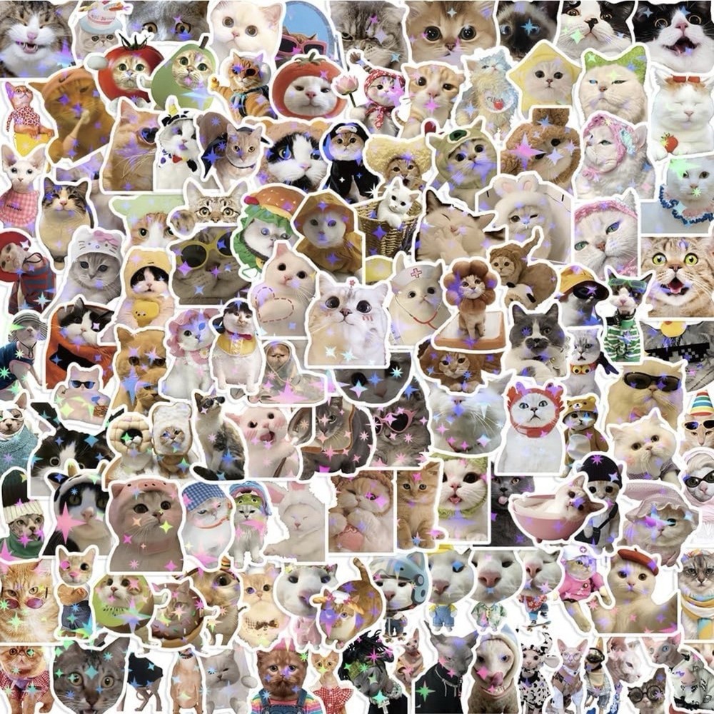 5Pcs Random Holographic Glitter Cat Meme Kitten Cartoon Waterproof Stickers