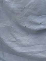 81” Bucas Buzz Off Full Neck Horse Fly Sheet – Used