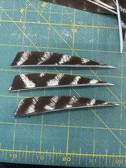 4″ Right Wing Shield Natural Barred Feather Fletching, 25Pk Archery 🇺🇸￼