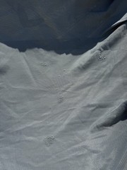 81” Bucas Buzz Off Full Neck Horse Fly Sheet – Used