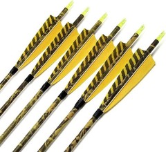 Carbon Practice Arrows 31″ for Compound Bow