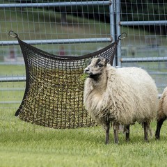 WTYPOPK 2 PCS Slow Feed Hay Nets for Horses 31.5″ x 35.4″ Large Capacity Hay…