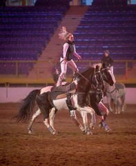 Roman Riding Pads