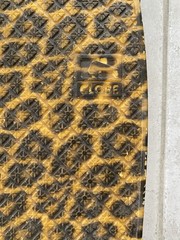 Globe Bantam Graphic ST Leopard Penny Board Skateboard Cruiser – 23 in x 6 in