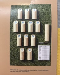 NEW Embark Numbered Pins Game Counting Educational Math Outdoor/Indoor Ages 6+