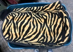 All Purpose English Saddle Pad Yellow Animal Print Tiger Stripe