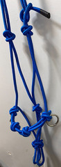 NEW BLUE FORMAY SIDEPULL ROPE HALTER WITH RINGS