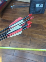32-In Aluminum Arrows With Practice Tips Feathers And Nocks