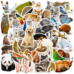 10Pcs Skateboard Stickers Bomb Vinyl Laptop Luggage Decals Dope sticker