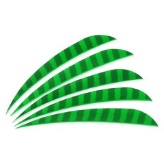 Arrows Vanes 20 Pack 5 Inch Arrow Feather Right Wing, Light Green