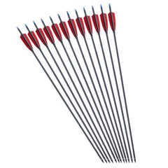 12Pcs 30inch Carbon Arrows Turkey Feather Spine 500 Hunting Compound Recurve Bow