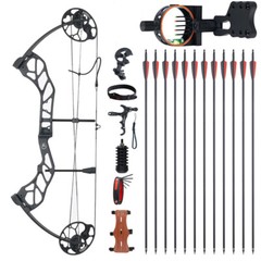 19-70lbs Adjustable Hunting Compound Bow Set 320FPS for Archery RH Shooting