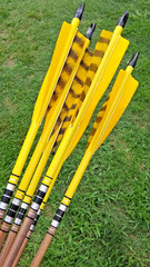 6 MATCHED WOOD ARROWS 31″ BOP