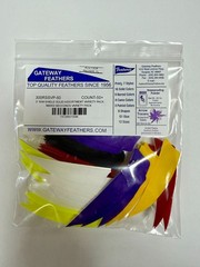 Gateway Feathers 3″ Right Wing Shield Variety pack 50 count
