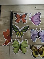 BUTTERFLIES Butterfly Stickers Vinyl Waterproof PVC Luggage Laptop Decals Lot