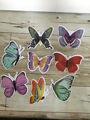 BUTTERFLIES Butterfly Stickers Vinyl Waterproof PVC Luggage Laptop Decals Lot