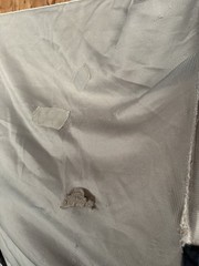 78” Bucas Buzz Off Full Neck Horse Fly Sheet – Used