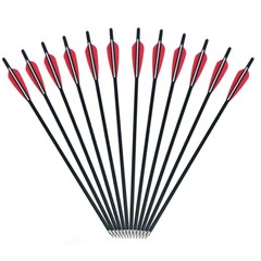 12Pcs 20″ Crossbow Bolts Mixed Carbon Hunting Arrow Changeable Tips Half Nocks