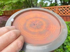 Star Mamba w/ Halo Rainbow Swirls Disc Golf Innova 170G New Rare Limited #6234